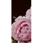Flower Friends:D