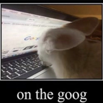 good boys ツ