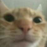 inkymug
