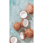 Preppy coconuts27