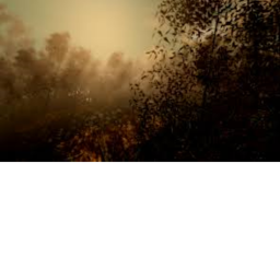 Stuck in Forest