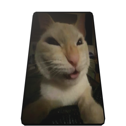 Laughing Cat Cape Roblox item