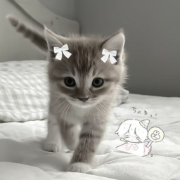‿