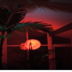 RedKiwi
