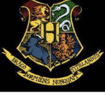 Harry Potter Fan For Life!