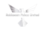 RPU (ROBLOXIAN POLICE UNITED)