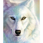 White fans