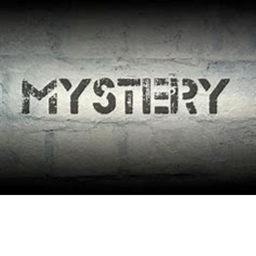 Survive the mystery
