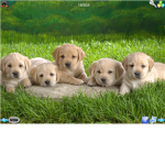 The wat up girls