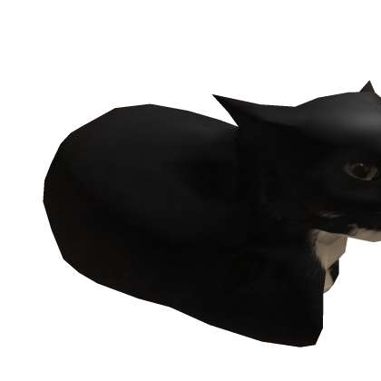 Maxwell The Cat Bomb