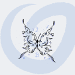 The Enchanted Butterfly