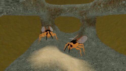 Insect Sandbox