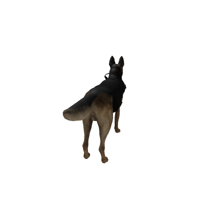 Canine