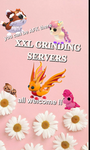 XXL GRINDING SERVERS