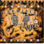 ʚ harpers angels ɞ