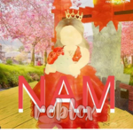 National American Miss ROBLOX