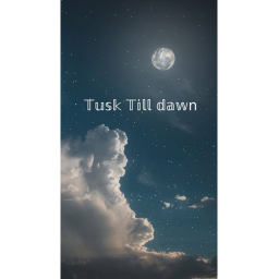 Tusk till dawn Clothing store