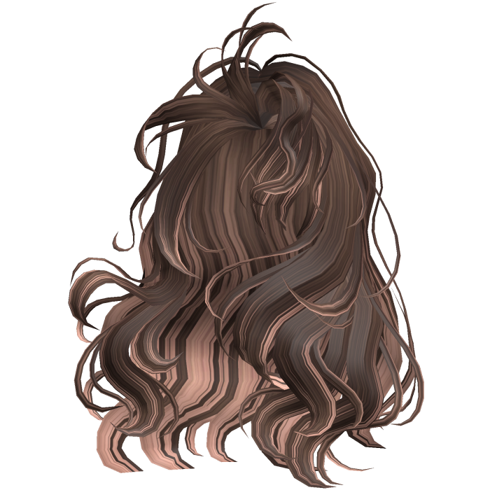 Curly Blowout Brown & Blonde