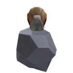 zzzzfdajufhdsuafd