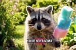 RACOON GROUP123344