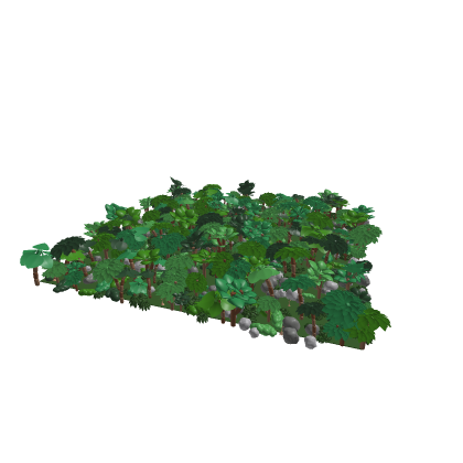 Jungle Map