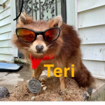 TERI RELIGION!