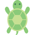 Cafe Turtle