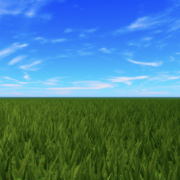 Peaceful Grass