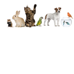 We are the animal army
