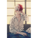 shoto Todoroki fans