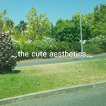 ~The Cute Aesthetics~
