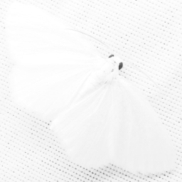 ☾