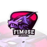 FM Dragons