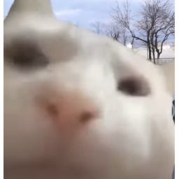 ############ ##### Number: #