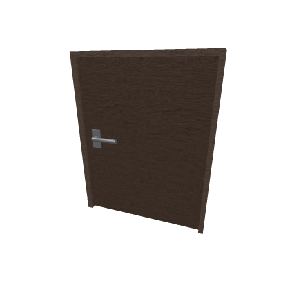 locked door that i brought to a party 