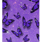 Aesthetic123456