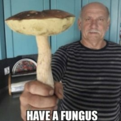 have a fungus Roblox decal