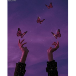 Purple Aesthetic Queens