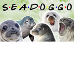 the seal people