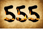 SAVAGE 555 server