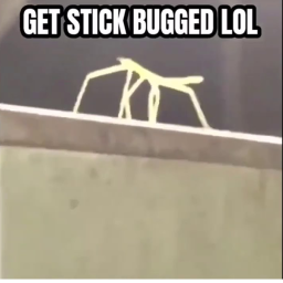 Get stick Bugged LOLOLOL