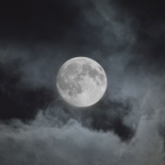moondwust