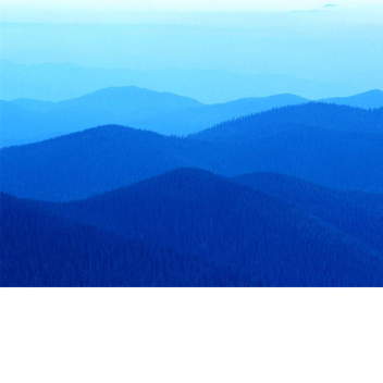 Avatar test
