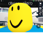 The BriN Chat