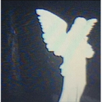 sharkies shadow