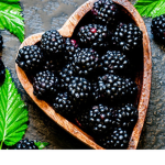 NickPlaysThis Blackberry Squad