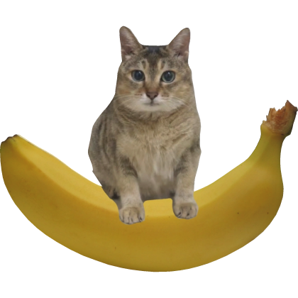 Tole Tole Pero En Un Plátano😼🐈🍌 Code: TTB350