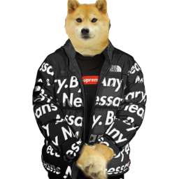 SPLOOF