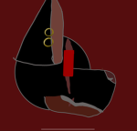 Briet The wolf fan group