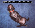 I lol'd